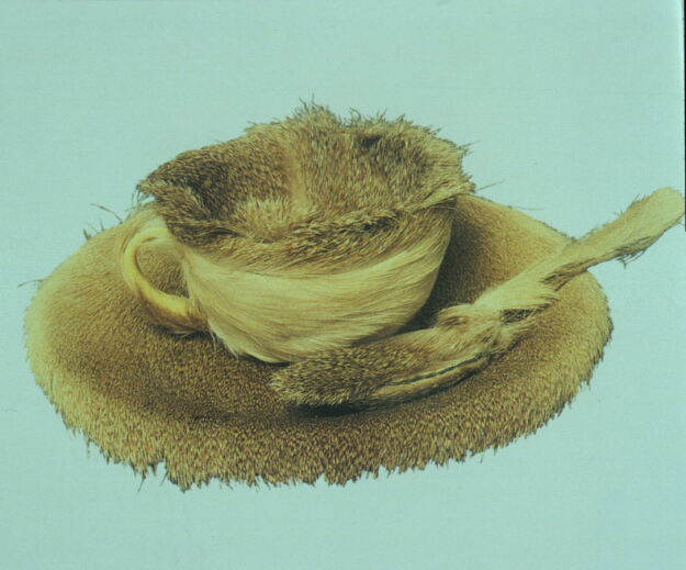 Oppenheim_Fur_Cup_Spoon_and_Saucer_1936